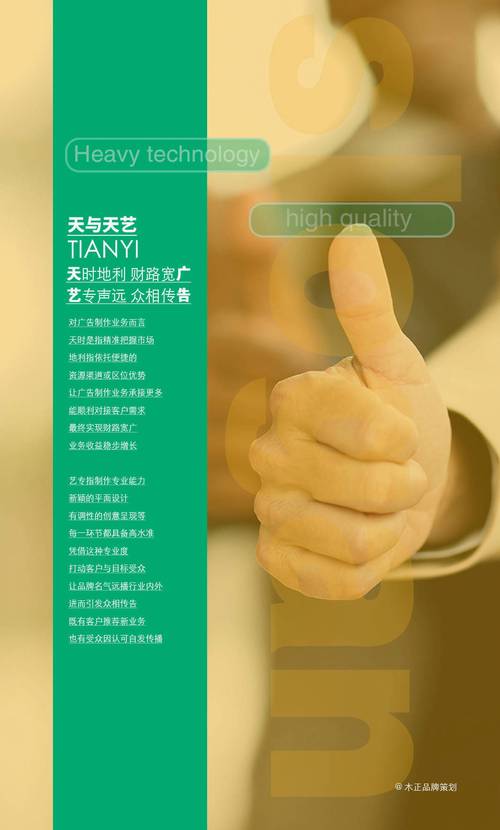 福建天艺广告品牌形象设计 / 福建木正策划